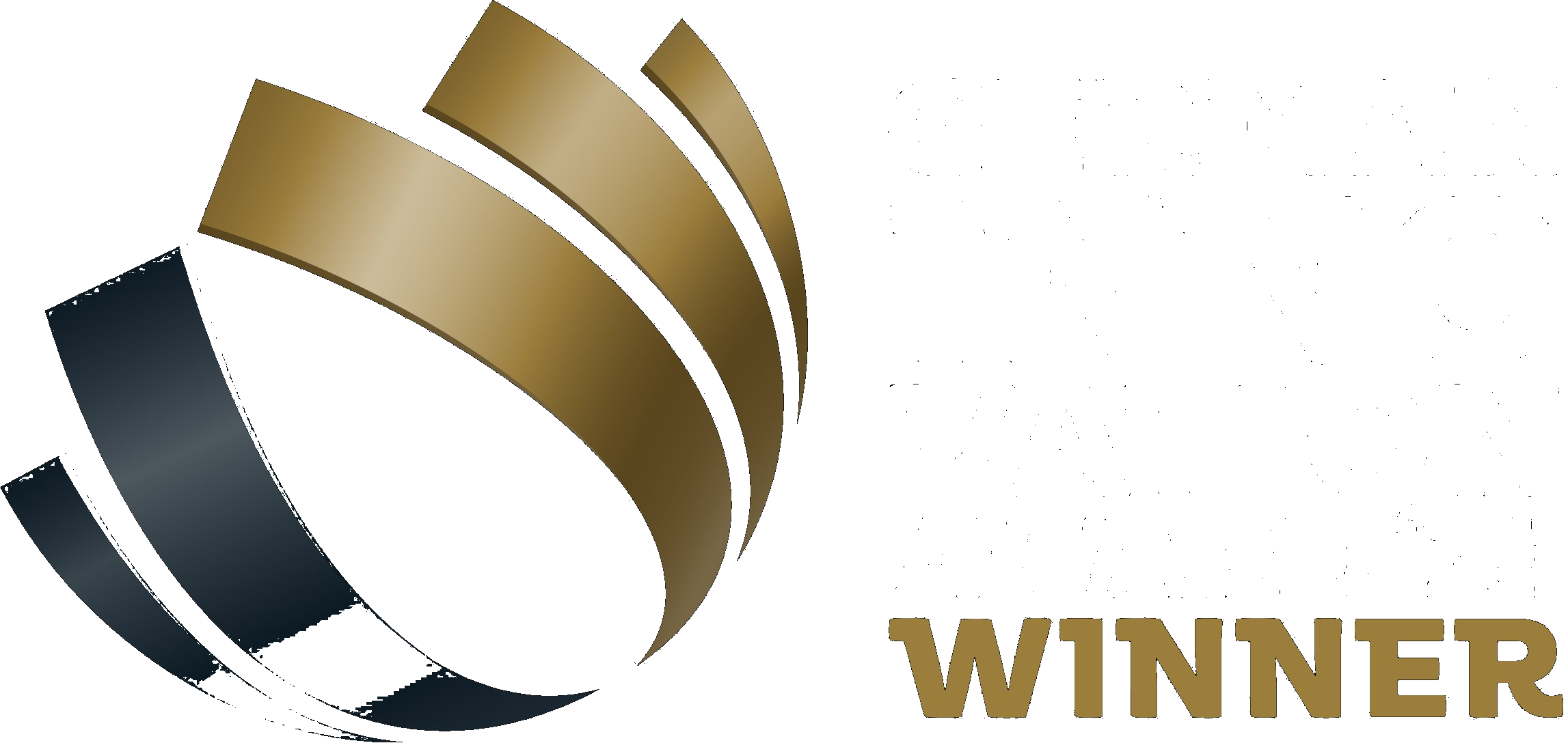 German Innovation Award 2024
